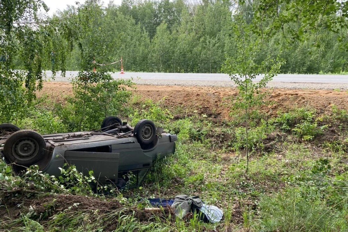 Фото из открытых источников