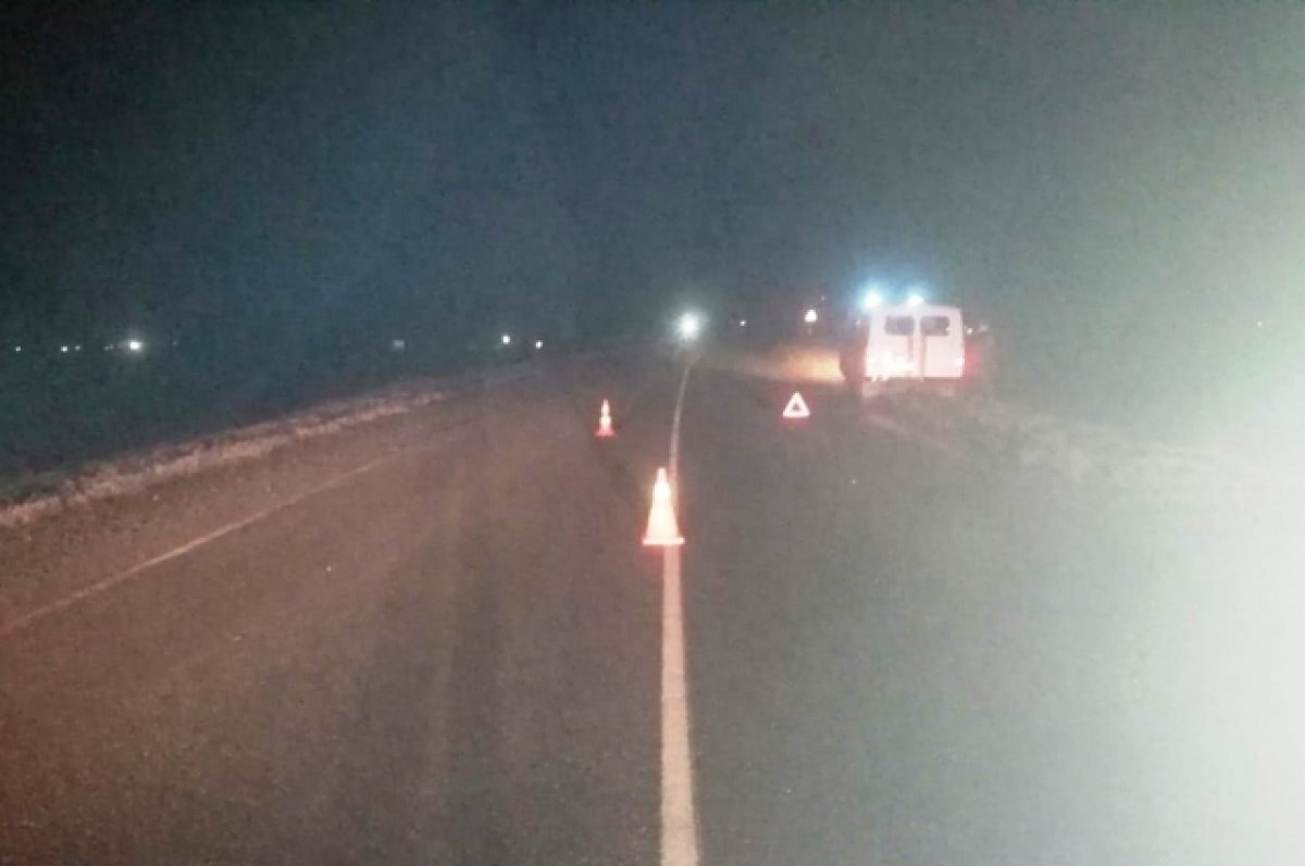    На трассе Омск – Тара водитель автобуса насмерть сбил пешехода