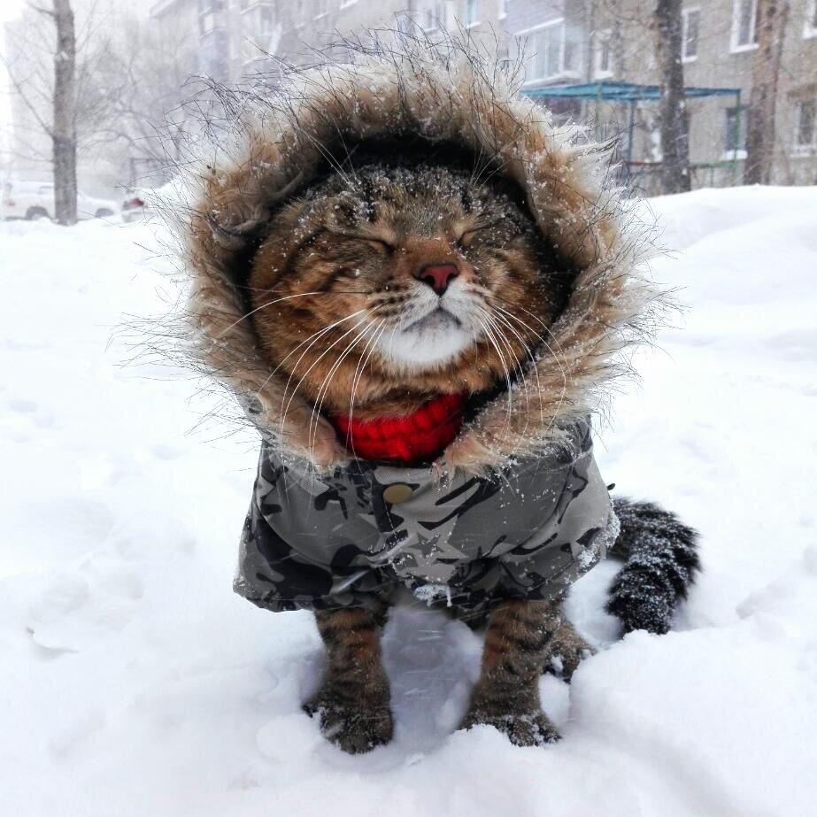 фото из интернета