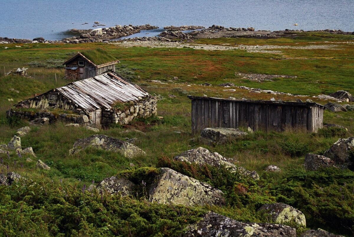 Как утеплить курятник, сарай, хлев дешево