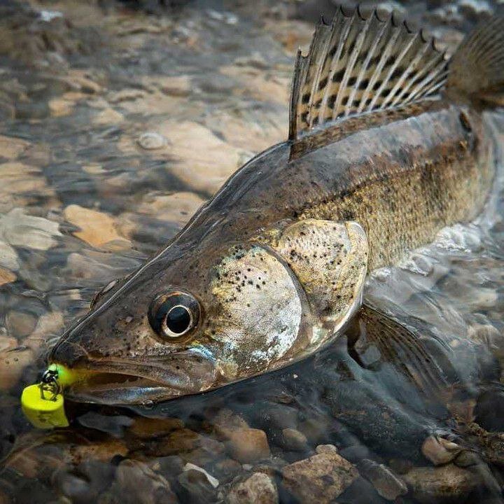 ВО ВСЕЙ КРАСЕ