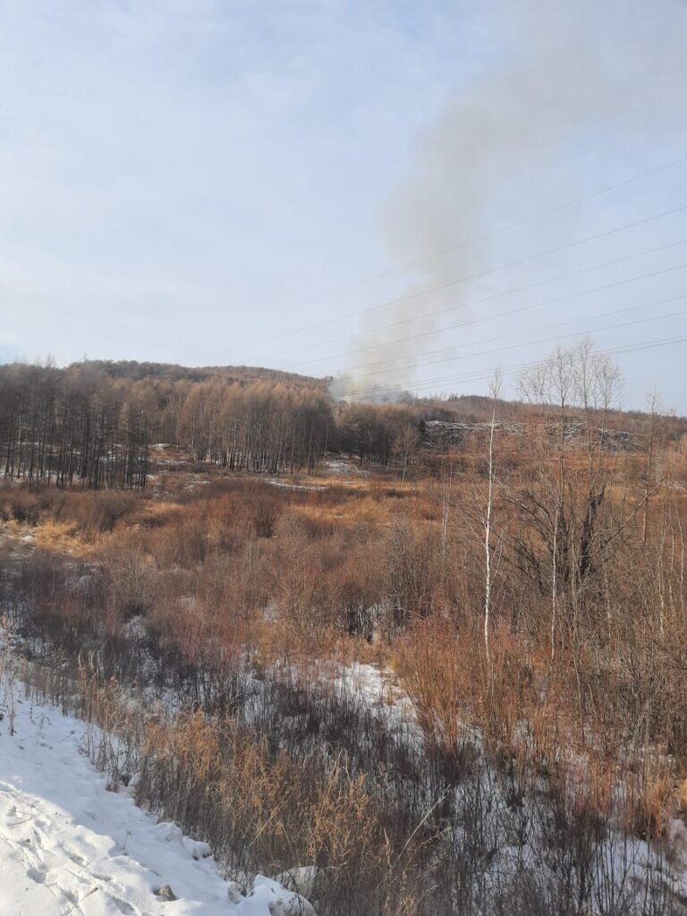    Фото: Сергей Красненков