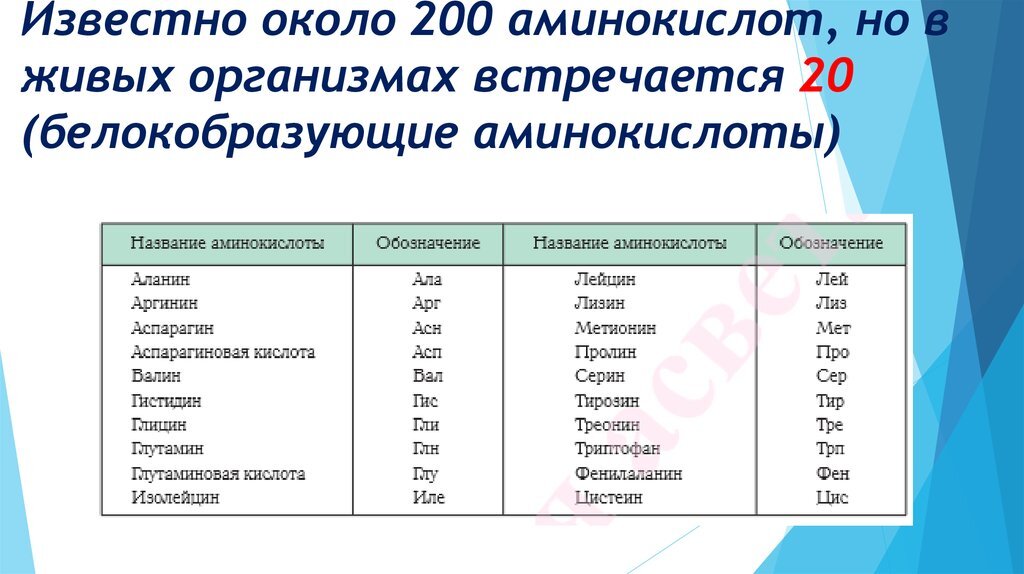 Сколько различных аминокислот входит в состав белков. 20 аминокислот в составе белковых молекул. Формулы 20 аминокислот таблица. 20 стандартных аминокислот. Строение 20 аминокислот белковых.