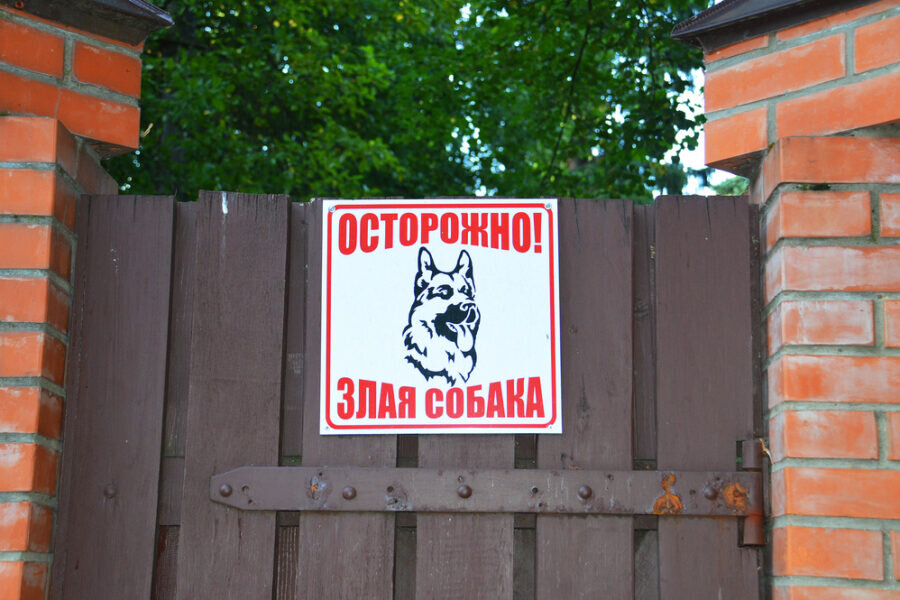 Изображение с сайта Яндекс.Картинки