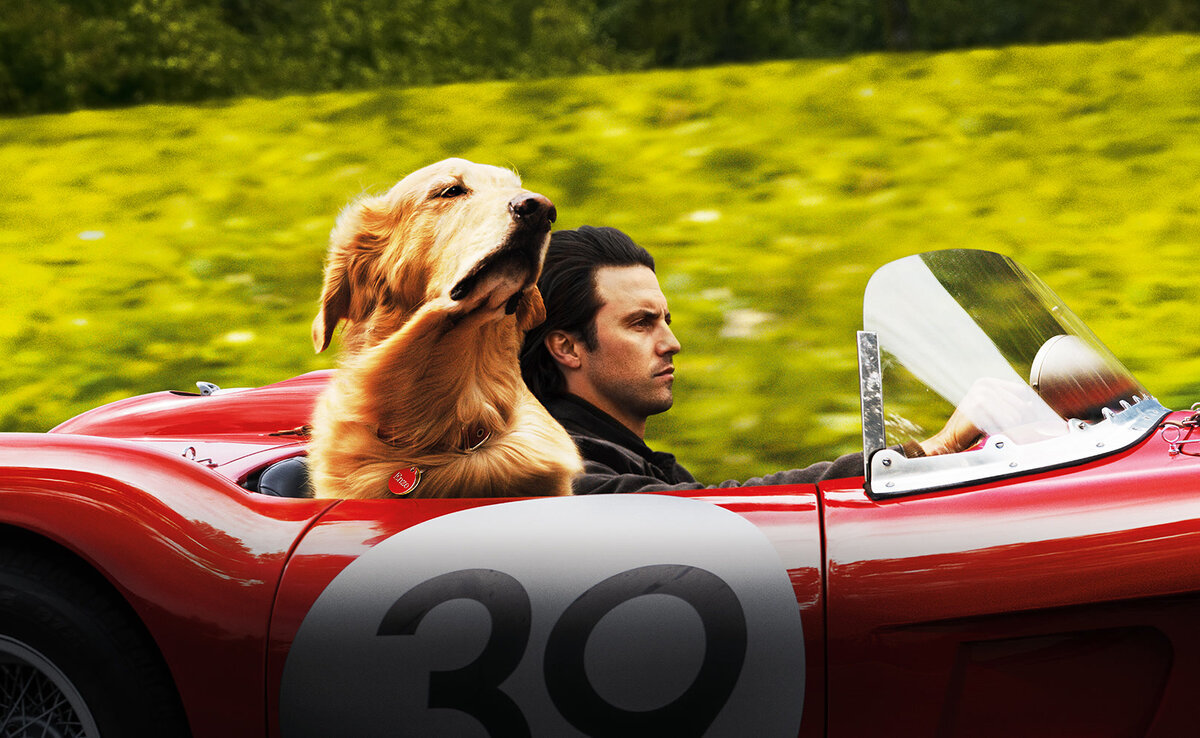 Невероятный мир глазами Энцо