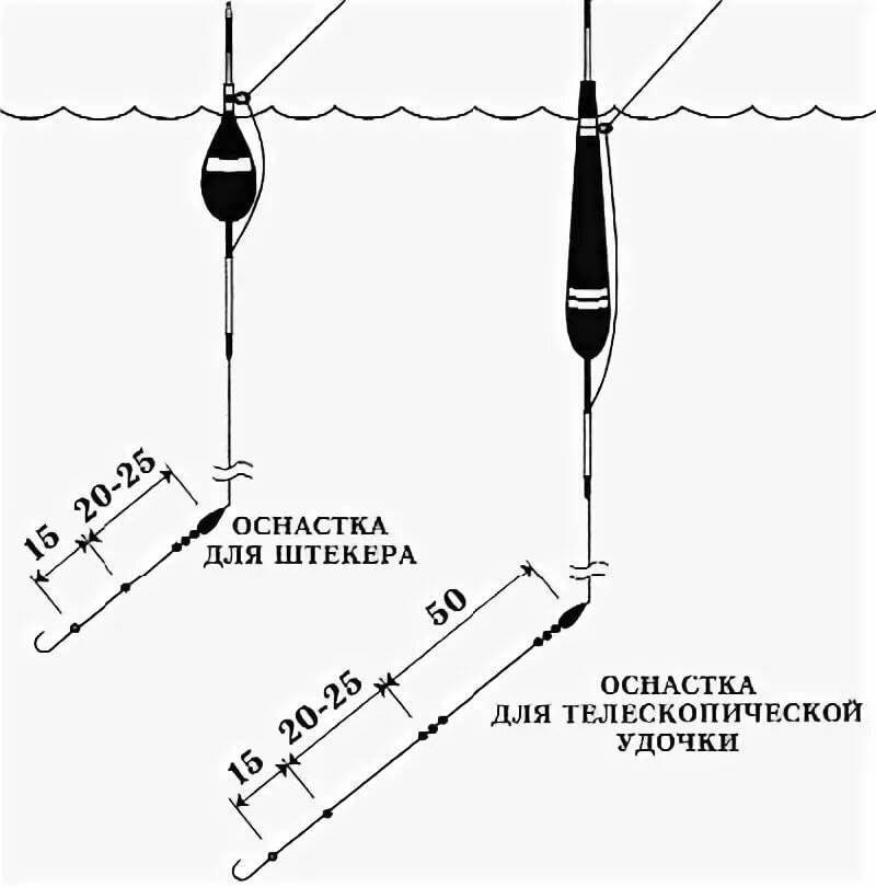 Снасти для ловли карася и секреты рыбалки