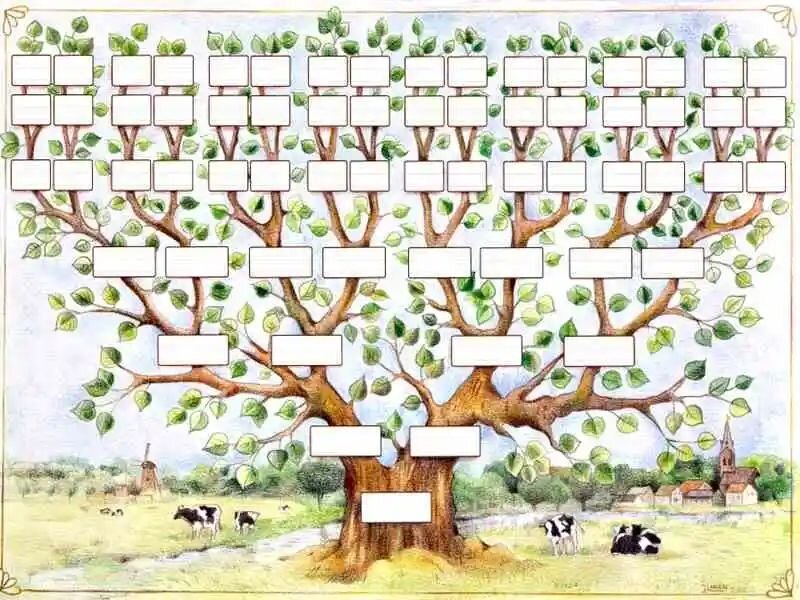 Помните нам в школе задавали нарисовать свое генеалогическое древо?