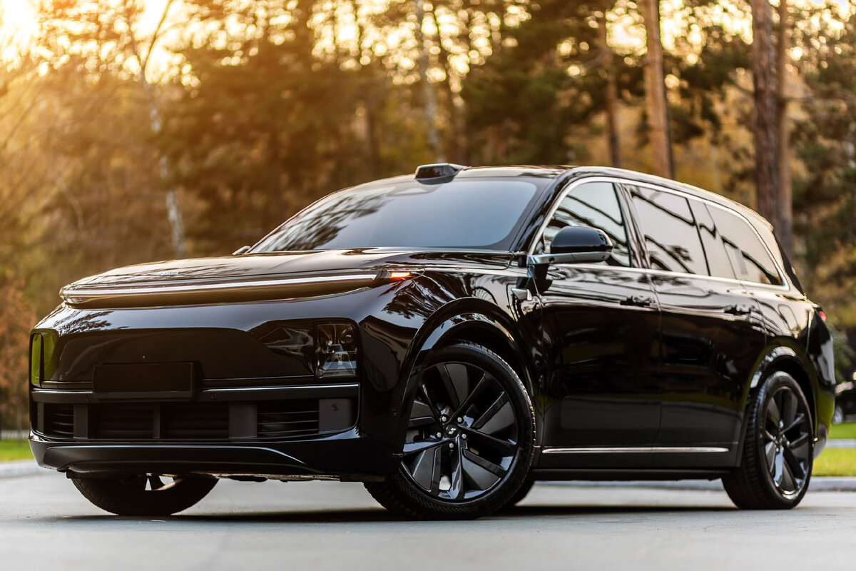 Потрясающий черный Li L9 в парке