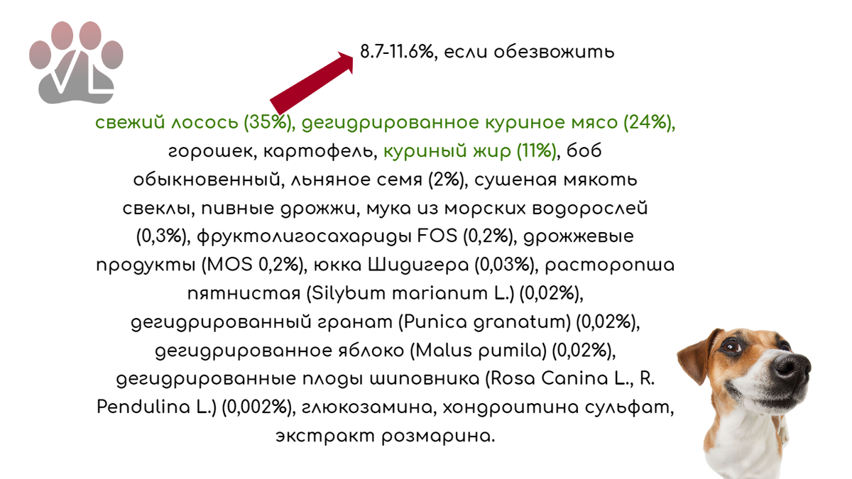 Первые дни питомца в доме: чем кормить? / учу занудно, но действенно |  Ветеринарный диетолог vetLIFE | Дзен