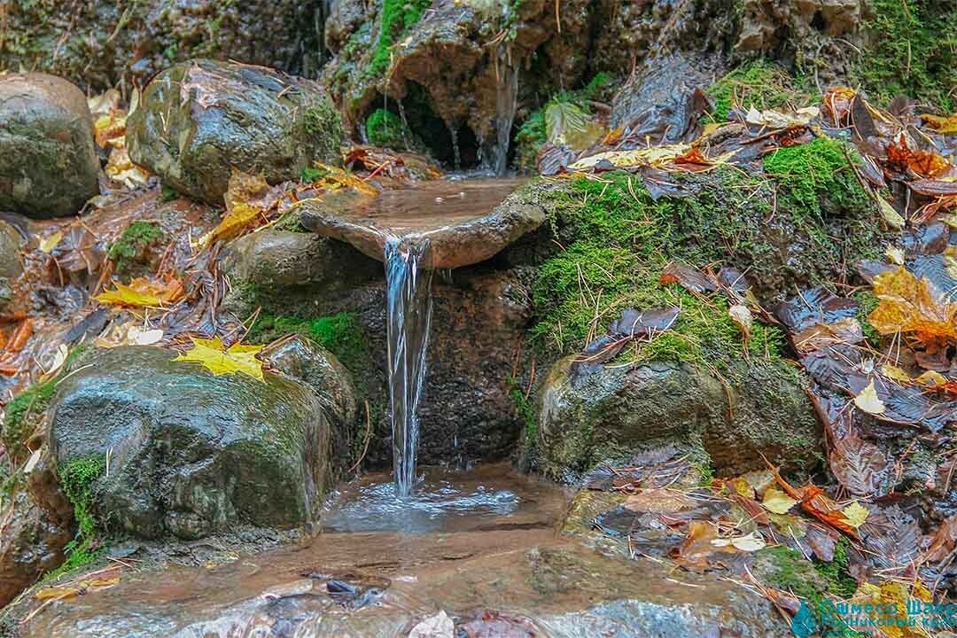 Родниковая вода