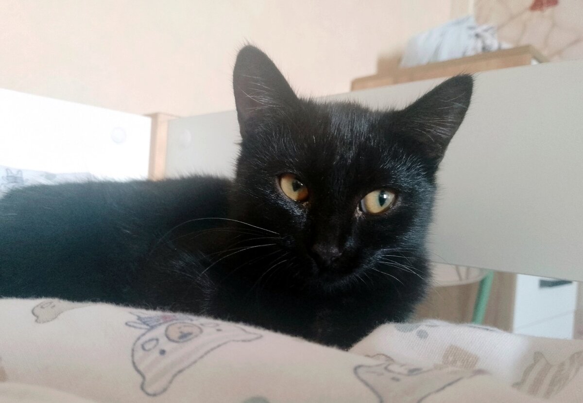 Глаша превращается в грациозную красавицу