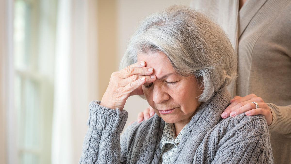 Фото Яндекс картинки.