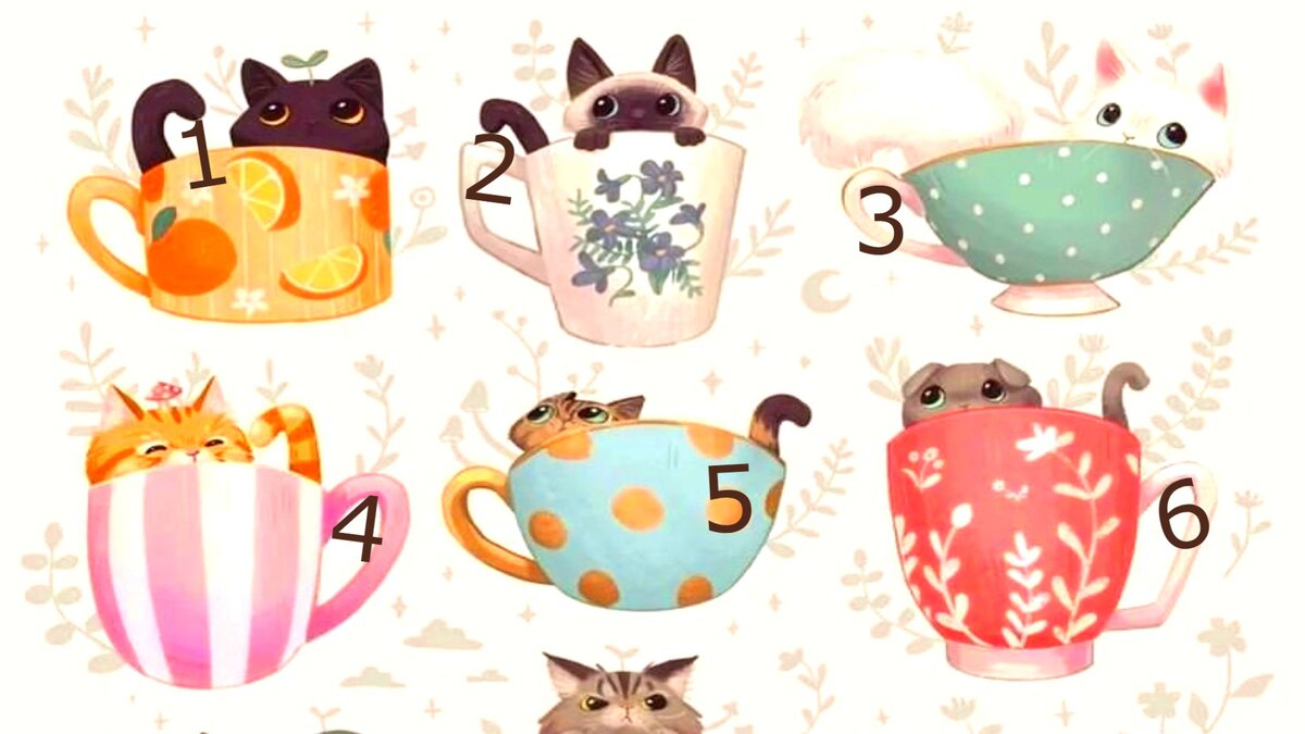 Тест "Котята в чашках" или чего вам стоит ждать в ближайшее время