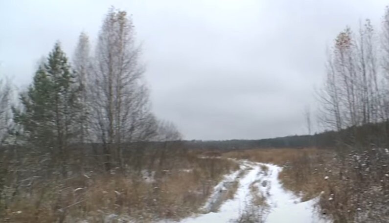    Возбуждено уголовное дело по передаче земли под мусорный полигон