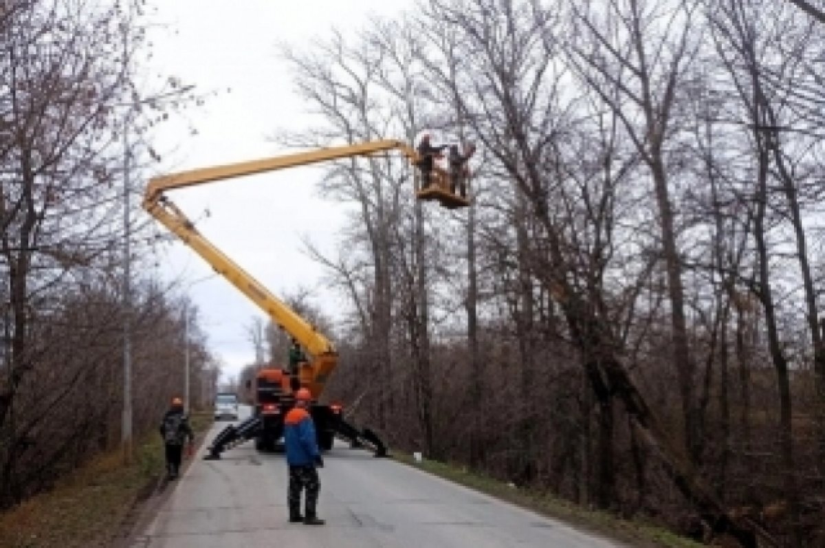    В Кировском районе Уфы вырубают аварийные деревья