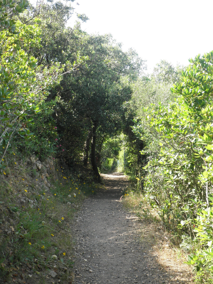 Все фотографии авторские ©AzurevaMarinaBOOKS