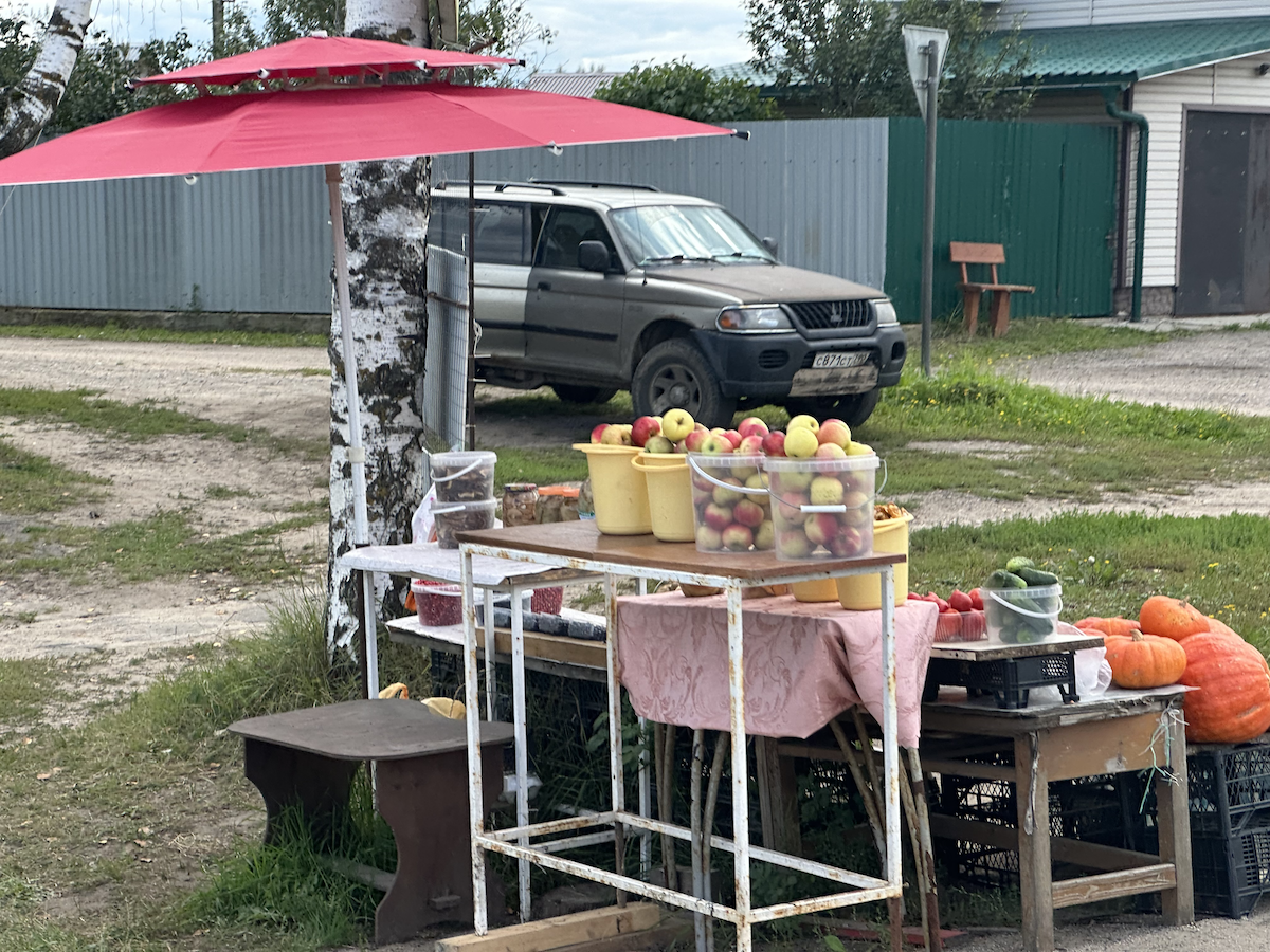    Какие фрукты и овощи подорожают к новогоднему столу