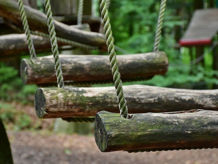     Фото: Pixabay.com