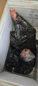  📷    В доме охотоведа в Оренбурге нашли пистолет Макарова, тушу лося и электроудочку Белов Михаил Александрович