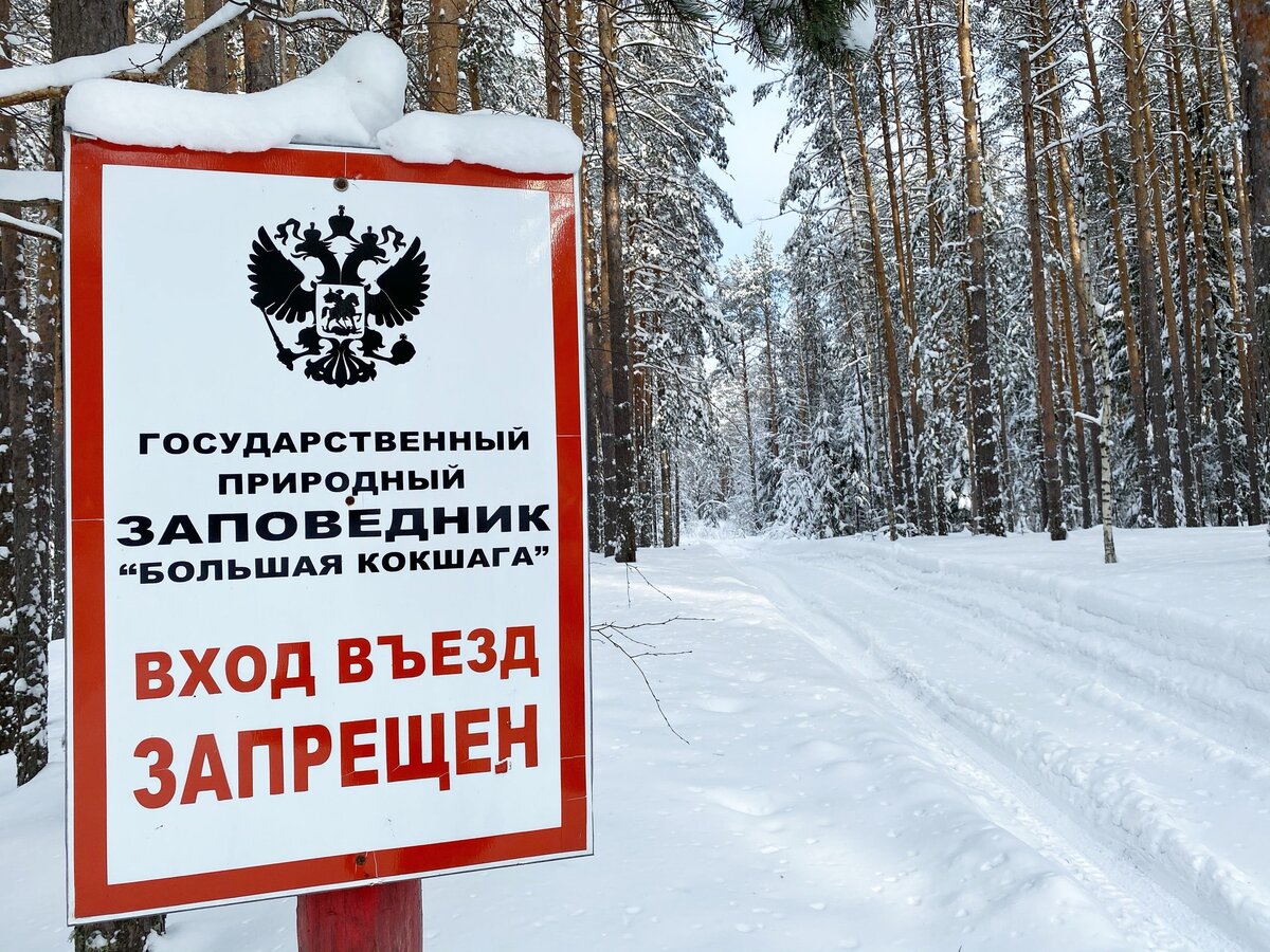 Въезд в заказник. Заповедники Марий Эл большая Кокшага. Территория заповедника большая Кокшага. Заповедник большая Кокшага Республики Марий Эл на карте. Заповедник большая Кокшага Республики Марий Эл животные.