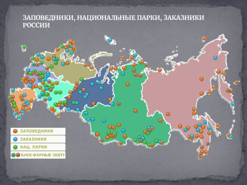 Какой из перечисленных заповедников. Нац парки и заповедники России на карте. Заповедники и национальные парки России карта. Крупнейшие заповедники и национальные парки России на карте. Заповедников, заказников и национальных парков в России.