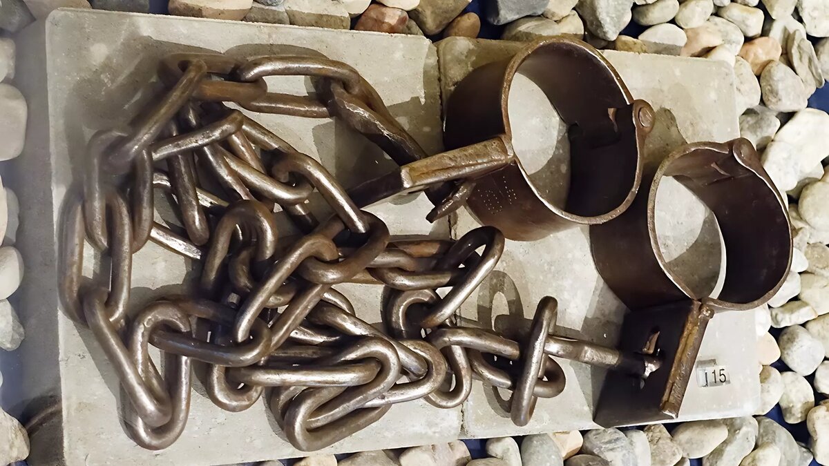     Пользователей Сети шокировали снятые в Тюмени кадры транспортировки гражданина, подозреваемого в совершении экономического преступления: сотрудники ФСБ заковали его в кандалы, надели на голову мешок и выпустили на гололед.