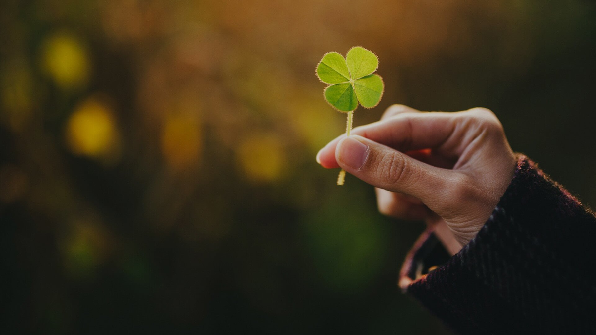 фото из интернета