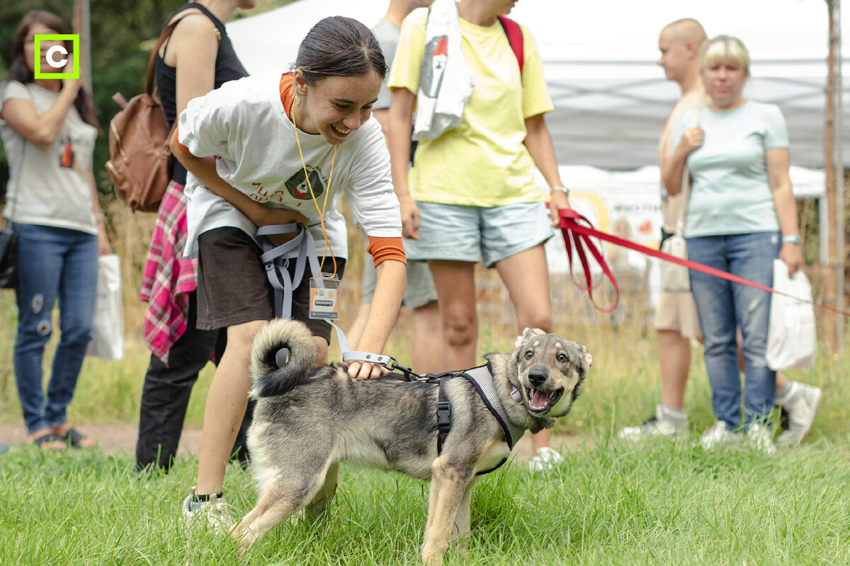 Фото из парка «Событие» 
