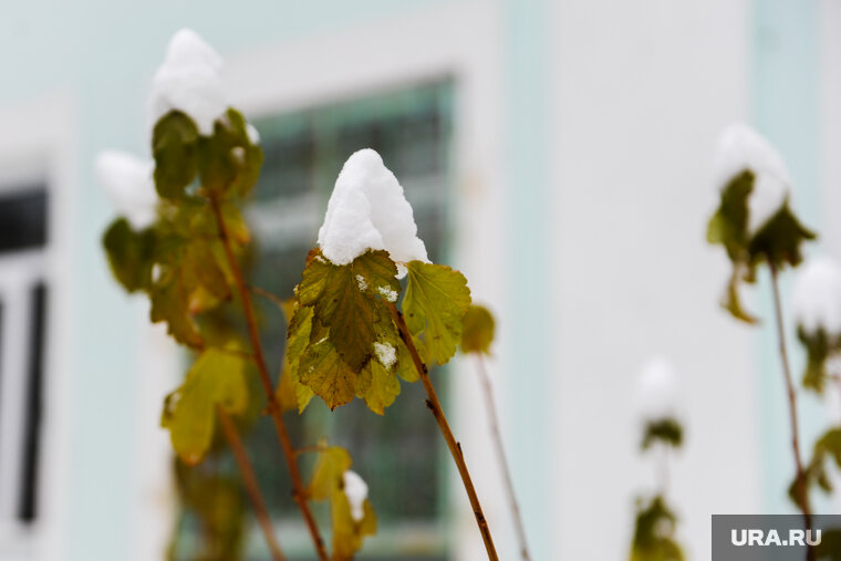    Выходные в регионе начнутся со снегопадов и дневной температуры ниже нуля