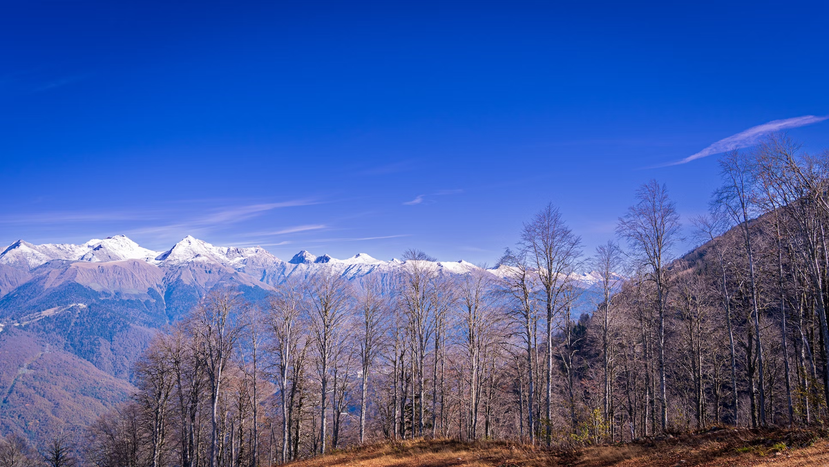 Самый большой перепад высот на синих трассах — до 1450 метров
