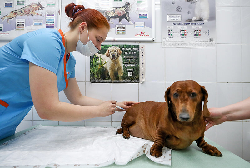    © Михаил Терещенко/ТАСС