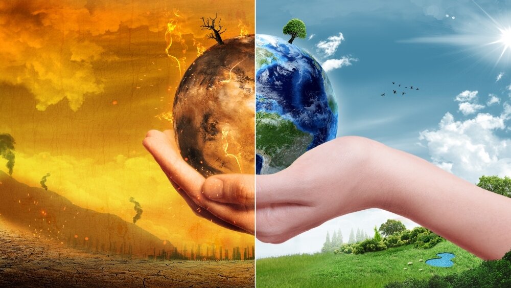    Фото: Shutterstock