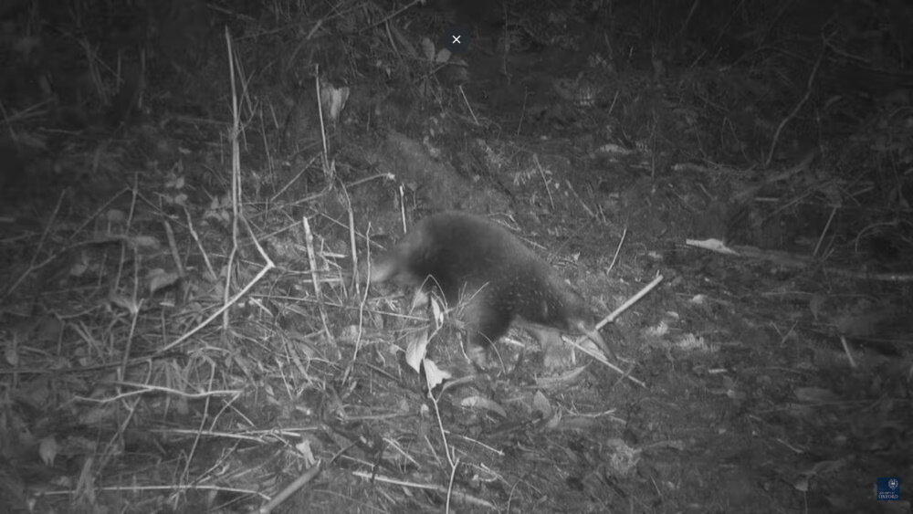    Фото: Expedition Cyclops University of Oxford