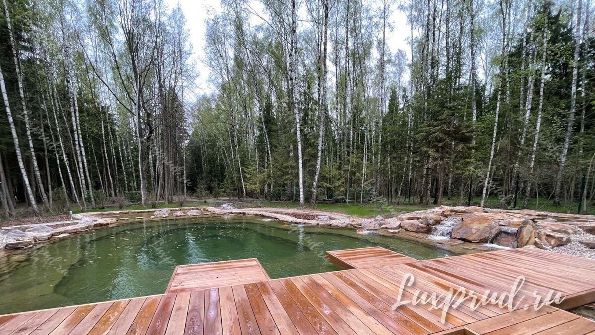 Пруд для рыбалки и плавания