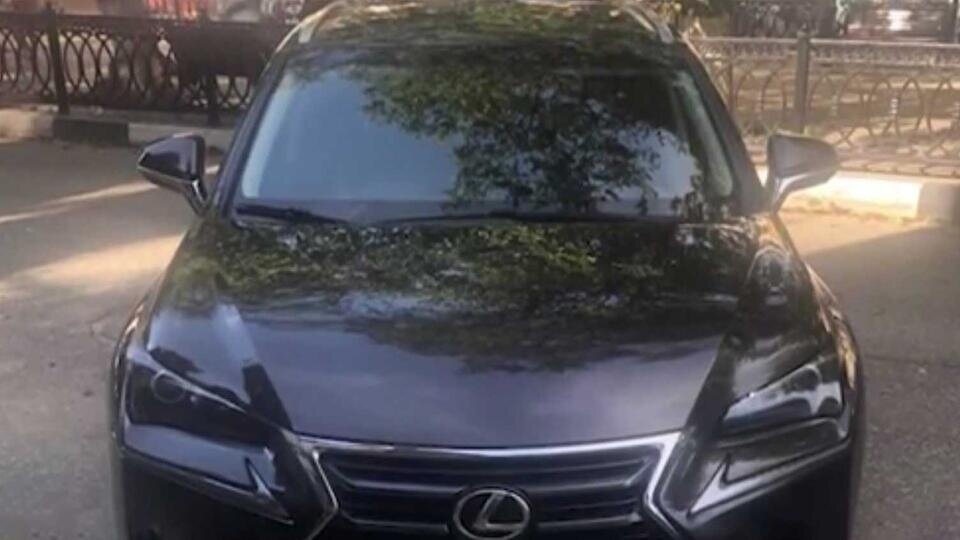 Фото: © Скриншот видео