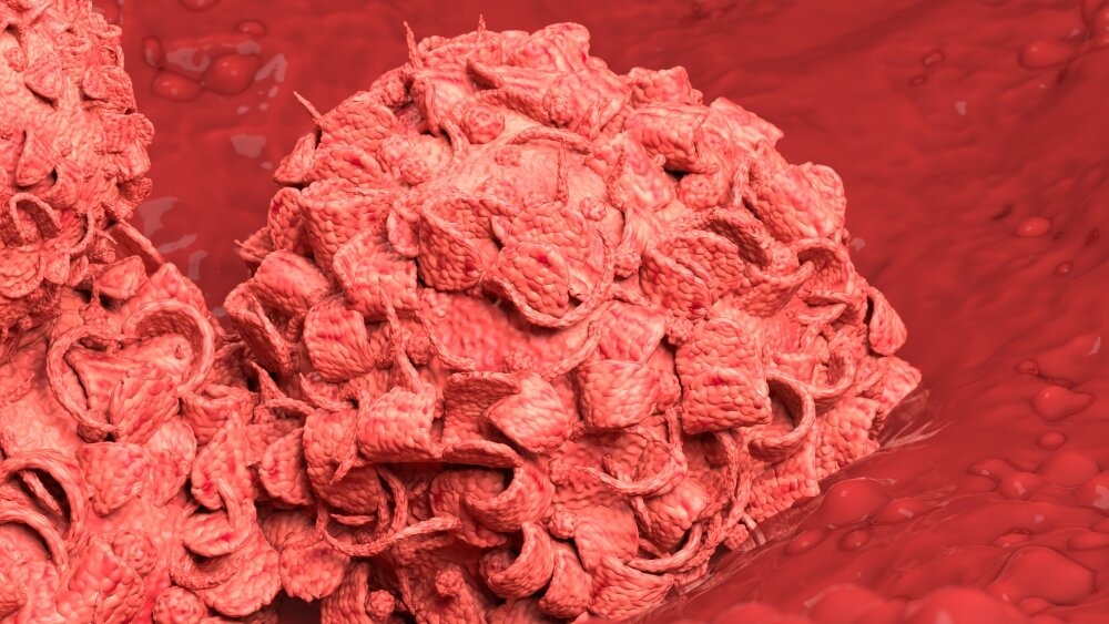    Фото: Shutterstock