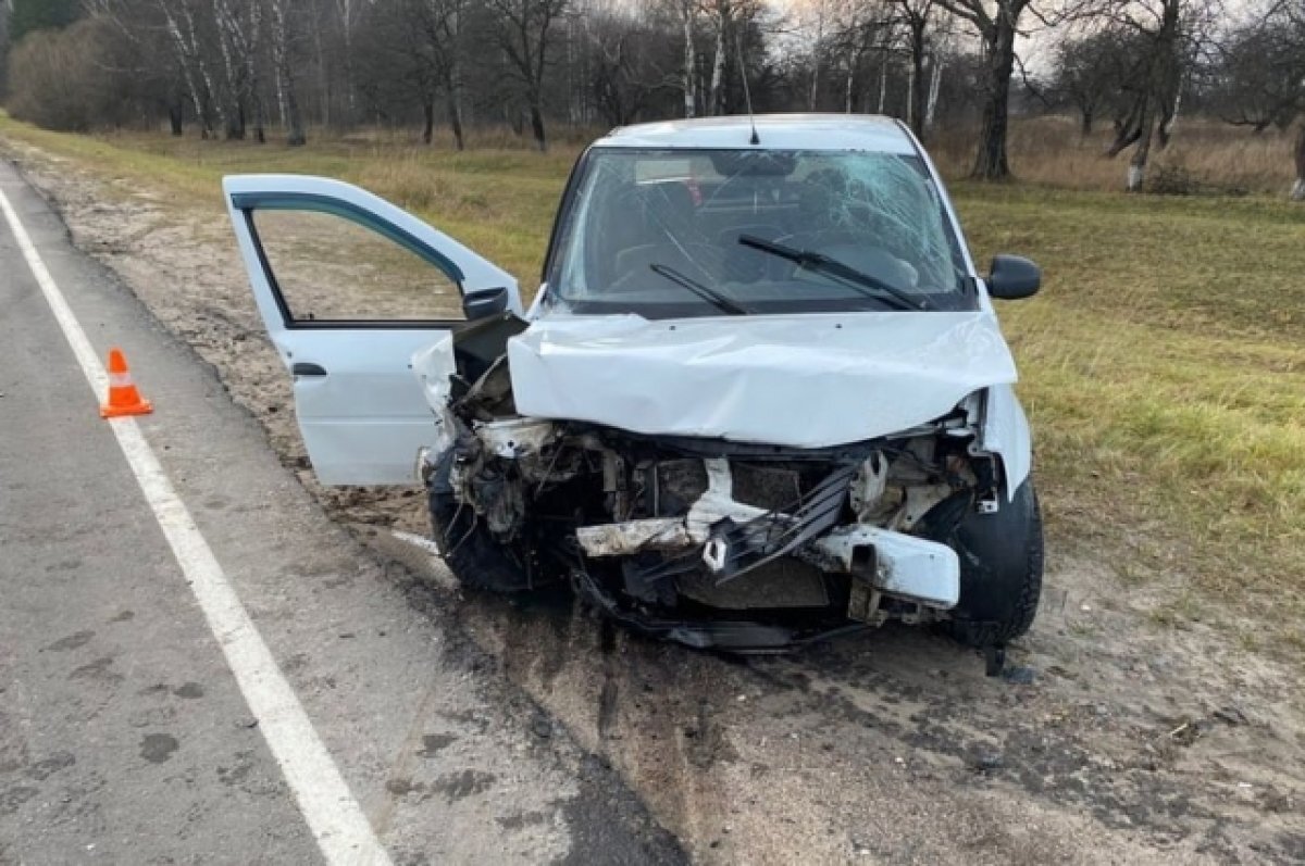    В Клетнянском районе Брянщины столкнулись Renault и Toyota