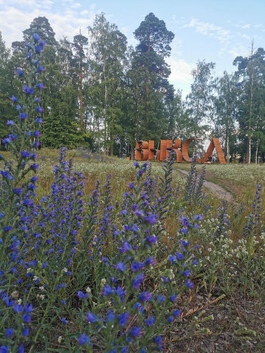 Огромная надпись "Выкса", у которой обычно целое паломничество из туристов