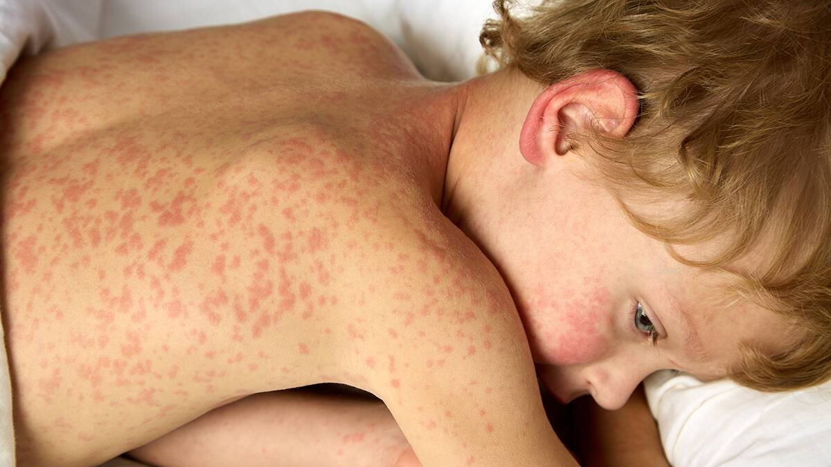    Фото: Shutterstock