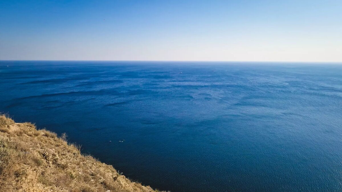     В Азовском море в Ростовской области увеличилась популяция осетровых рыб, заявила в эфире «Дон ТР» главный специалист лаборатории проходных и полупроходных рыб Азово-Черноморского филиала ФГБНУ ВНИРО Ольга Гуськова.