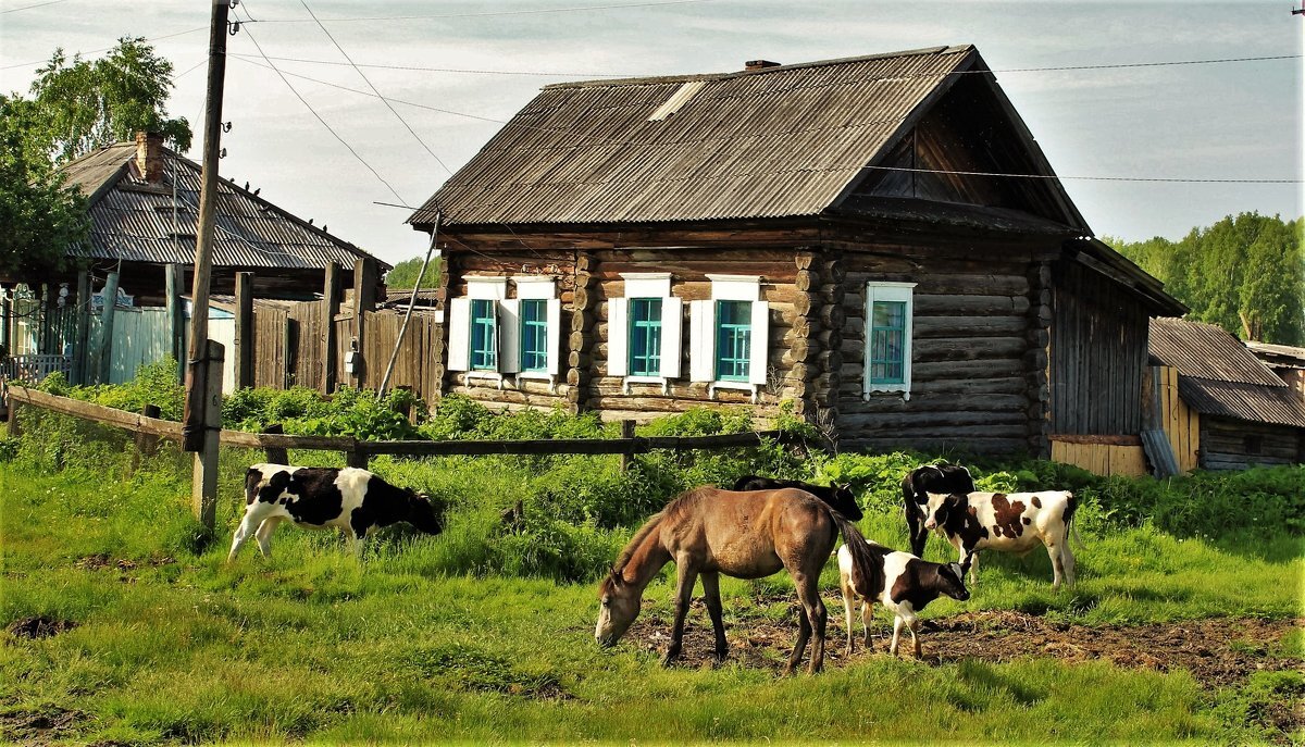 Виды деревни картинки