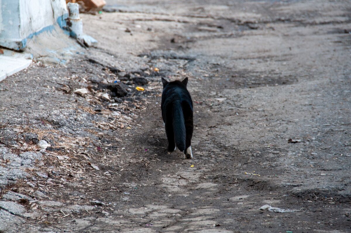    © Svetlana Vozmilova/Global Look Press