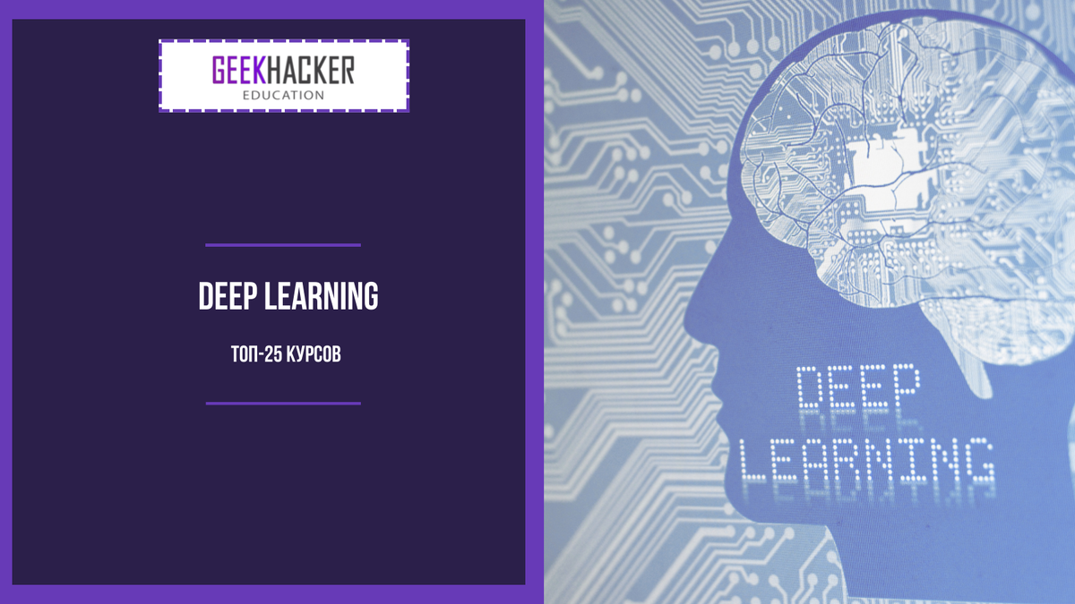 learn AI