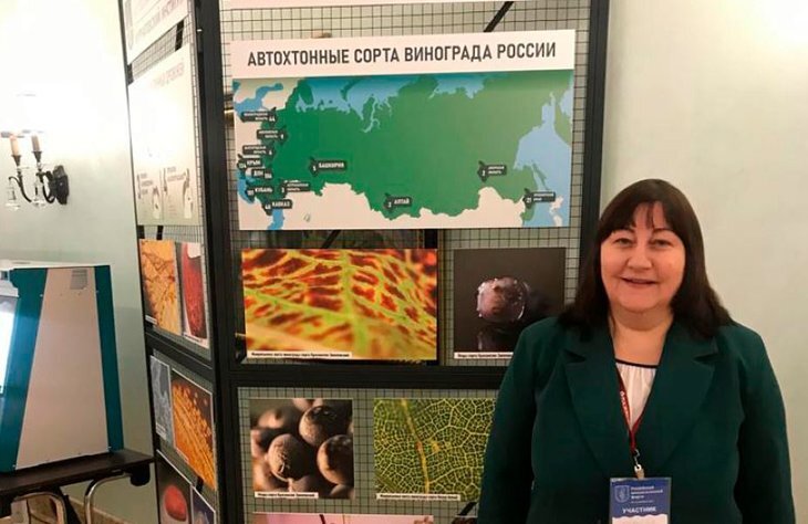    Безалкогольное лечебное вино представит НИУ БелГУ на ноябрьском съезде фармакологов в Москве
