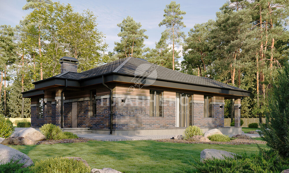 Общий вид дома 