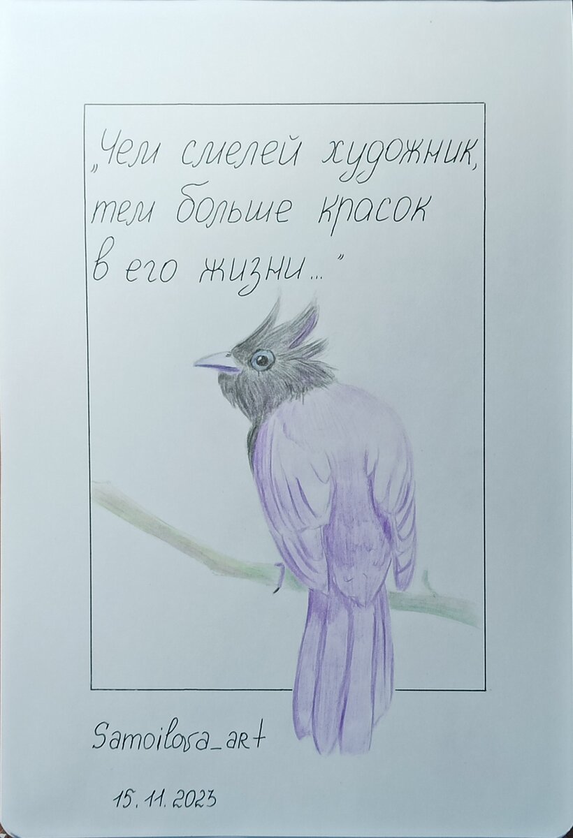 15 ноября 2023