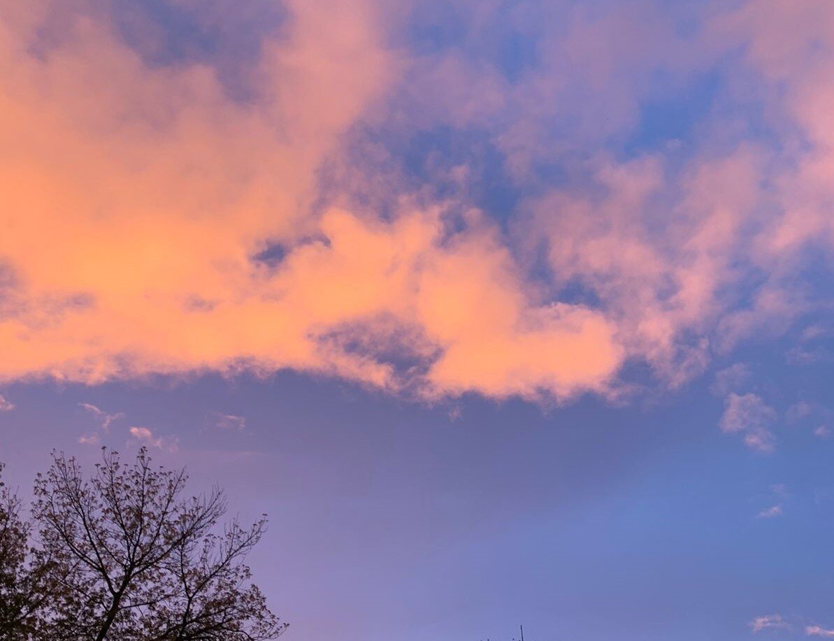 Вечернее небо. Фото О. Камаловой.