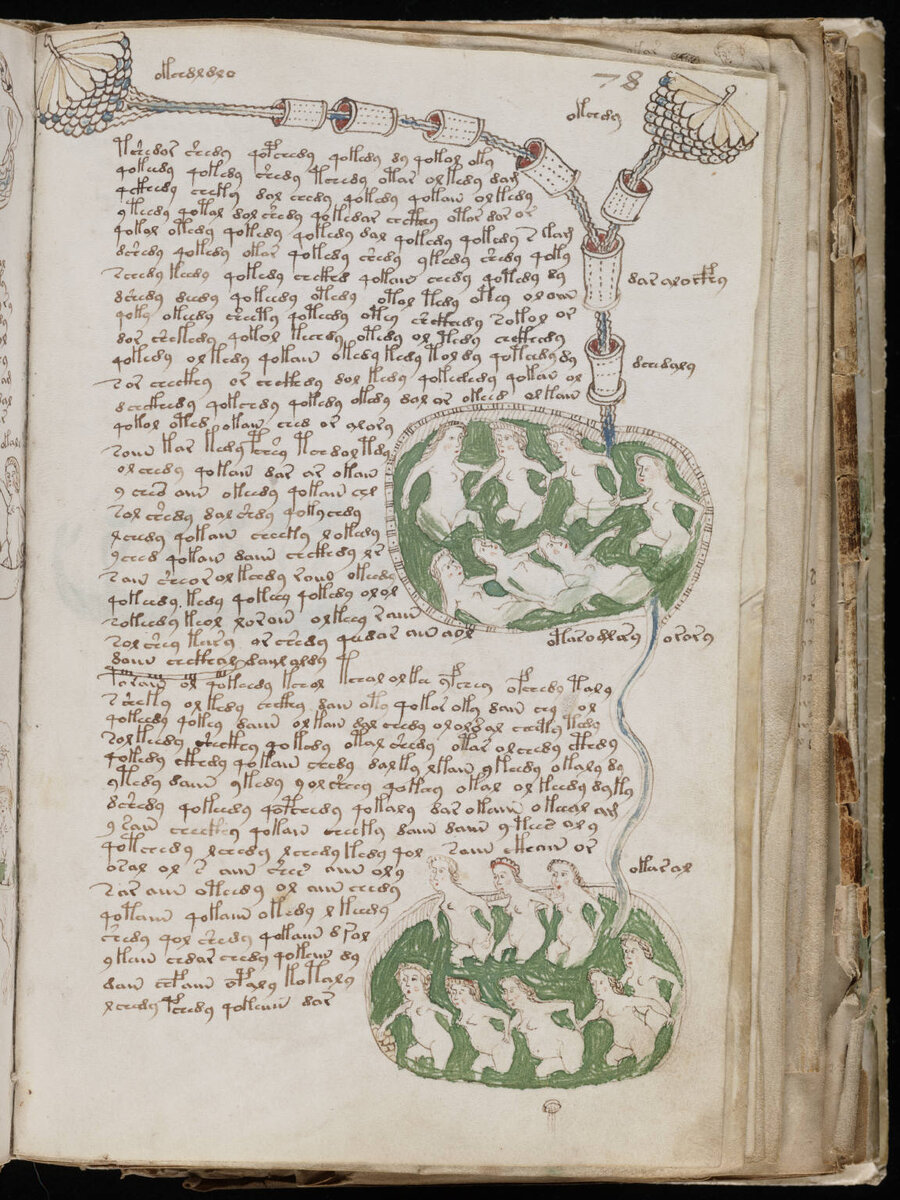 Источник: https://commons.wikimedia.org/wiki/File:Voynich_Manuscript_(141).jpg