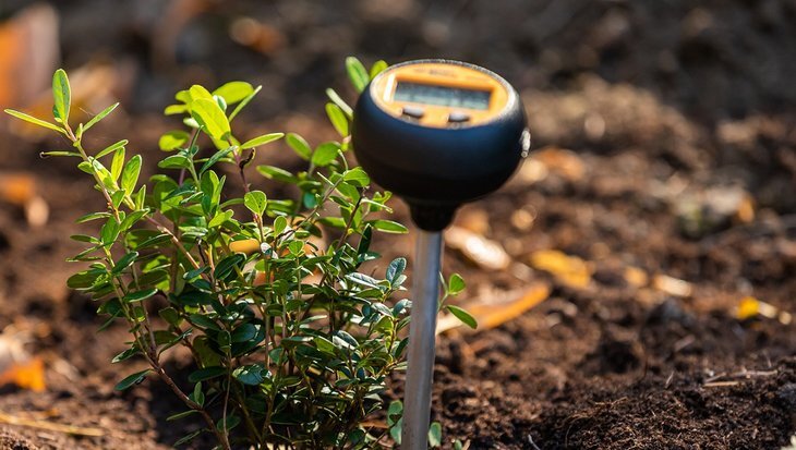    Российская селекция лесных ягодных культур получила биоресурсную коллекцию