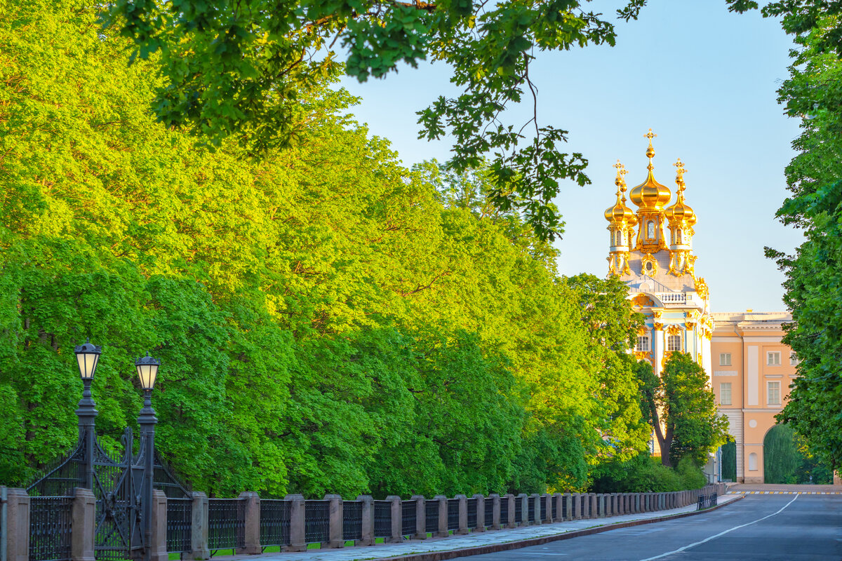 Многие петербуржцы уже знакомы с новым проектом комплексного развития  территории «На Царскосельских холмах». Читайте на 